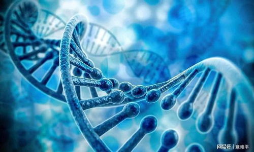 癌细胞与VPS35蛋白作用示意图