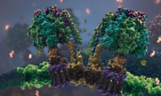 AI科学家联手攻克医学难题，Nature重磅揭秘：一场颠覆细胞认知的革命