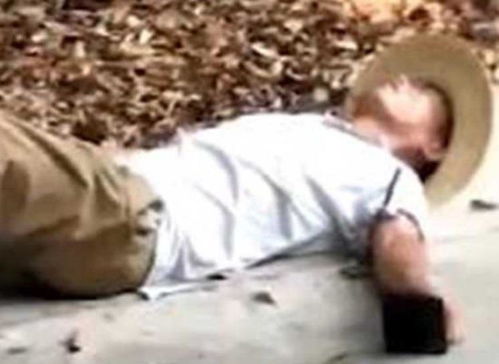 男子徒手抓蛇甩成‘大风车’，这操作太牛了！