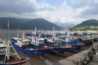 渔船停靠在港湾避风