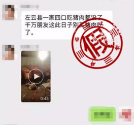 相关视频截图