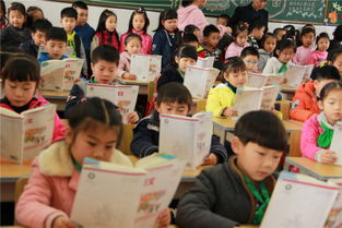 教师因学生不报清北解散群聊，背后真相令人深思！