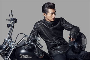 万海离真相咫尺却惨死，背后隐藏着怎样的惊天秘密？