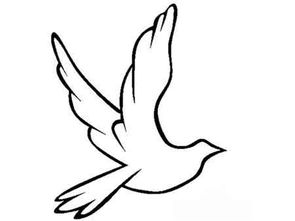 和平鸽图案