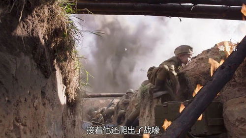 5098张抗战老照片拼成的照片墙背后的故事