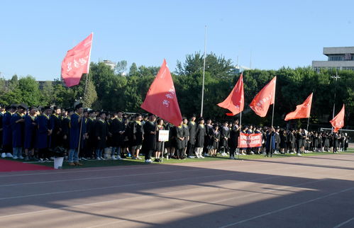 学员们整齐列队准备唱歌