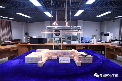 超导磁浮列车：未来的交通新宠儿