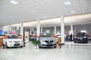 4S店检查车辆电池