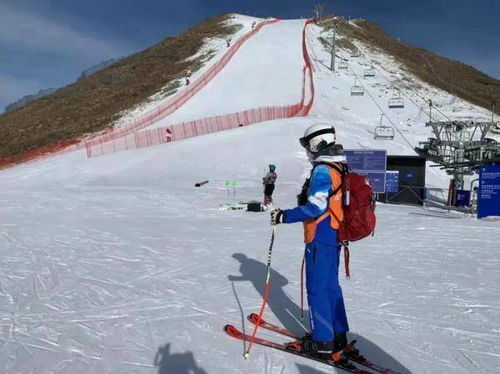 高达在比赛中专注的神情