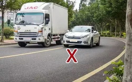 蒜苔还是韭苔？符溪收费站的‘绿通’之争