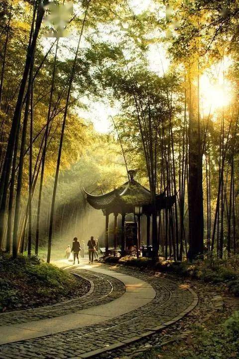 罗马仕产品展示区冷冷清清