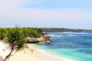 起猛了！音乐节也能领证啦？赵磊的婚礼成行业风向标