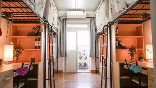 大学宿舍实探：从破烂到豪华的天壤之别