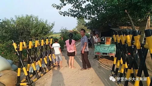 《以法之名》大结局惹争议，网友怒批烂尾！