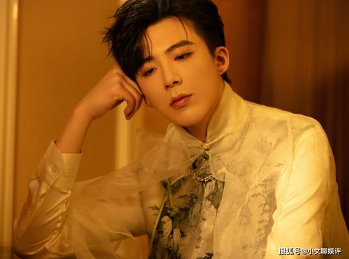 刘宇宁直播画面