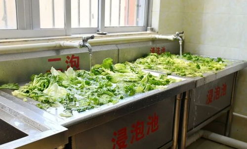 惊！天水培心幼儿园竟用彩绘颜料制食品致幼儿血铅异常