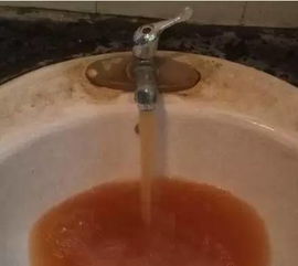 茶坝镇居民家中自来水状况