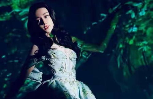 迪丽热巴巴黎出图，美成‘绿野仙踪’！