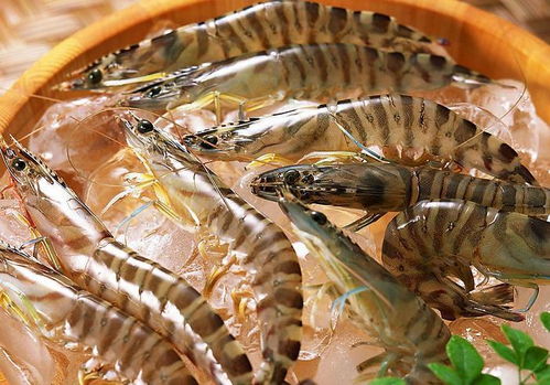 散发着酸臭味的洗虾水