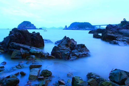 台风‘丹娜丝’在浙江温州登陆，洞头区首当其冲！