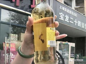 大学生喝3天开封饮料竟致细菌感染！背后真相令人担忧