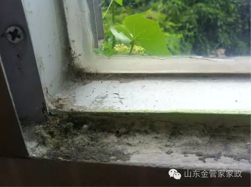 高铁F座为何成热门之选？揭秘背后的奥秘