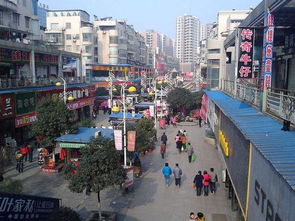 2万一套房的小城要建机场啦！这波操作太牛