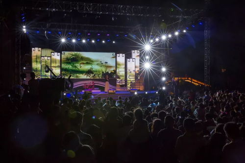 音乐节观众挥舞荧光棒