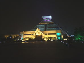 河南博物院夜间活动场景
