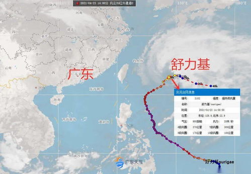 台风'丹娜丝'奇特调头西行，专家详细解读