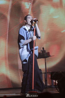 林冲演唱会现场