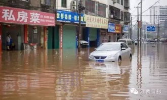 石家庄暴雨！警惕强降水带来的风险
