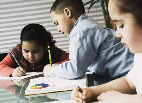 人类幼崽放假写作业那些事儿