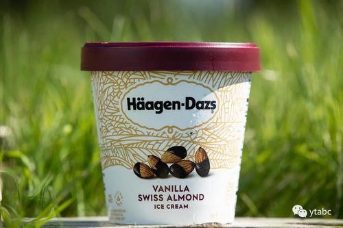 哈根达斯低价产品