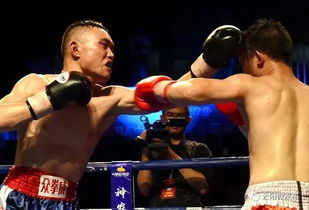 拳王Brel日常生活中的照片