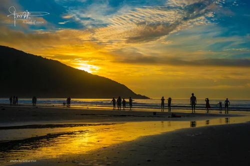 台风登陆时的海浪场景
