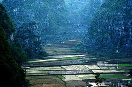 探寻大自然的清凉秘境