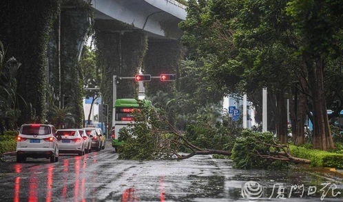 台风来袭时的街景