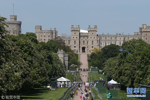 马克龙访英扶妻遭无视，背后故事引关注！