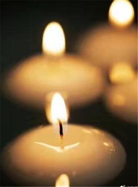 这是众人缅怀秦峰的照片