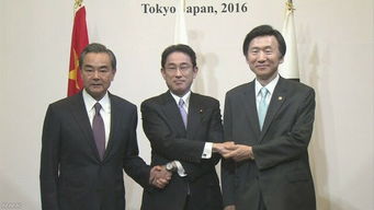 王毅与日本外相岩屋毅会见，日方承诺引关注