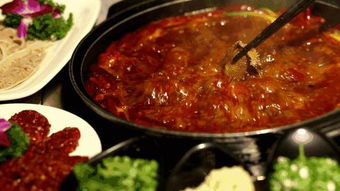 饭店老板随手拍菜品被重罚45万，真相令人咋舌