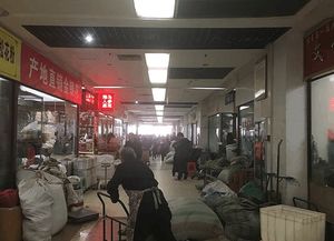 荷花池市场热闹景象