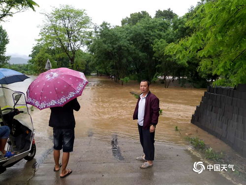 暴雨蓝色预警！广东等14省区迎大到暴雨，安全出行指南来了