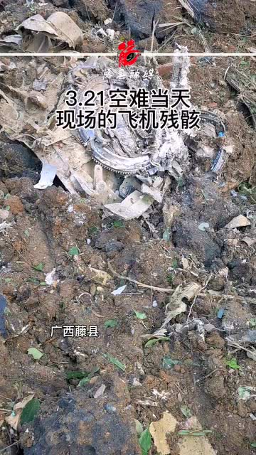 印度空难背后：飞行员操作成焦点