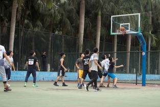 阿联酋NBA杯分组出炉！东西部豪强齐聚，精彩一触即发