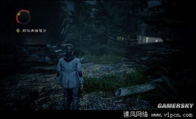 男子称不跳车去缅甸两天挣十万？背后真相令人震惊！