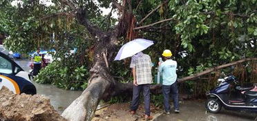 山东菏泽龙卷风致5死？别信！这都是假消息