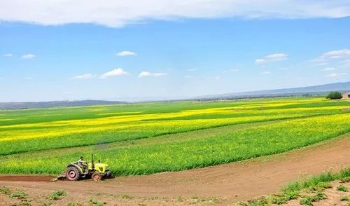 被划分界限的农田