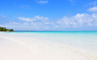 暑期出游必备！教你轻松避开那些‘坑’